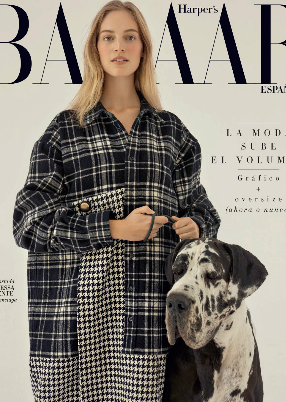 Demo title of image 8