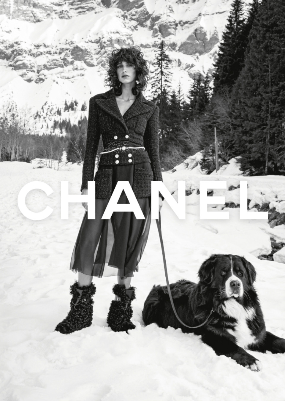 Demo title of image 15