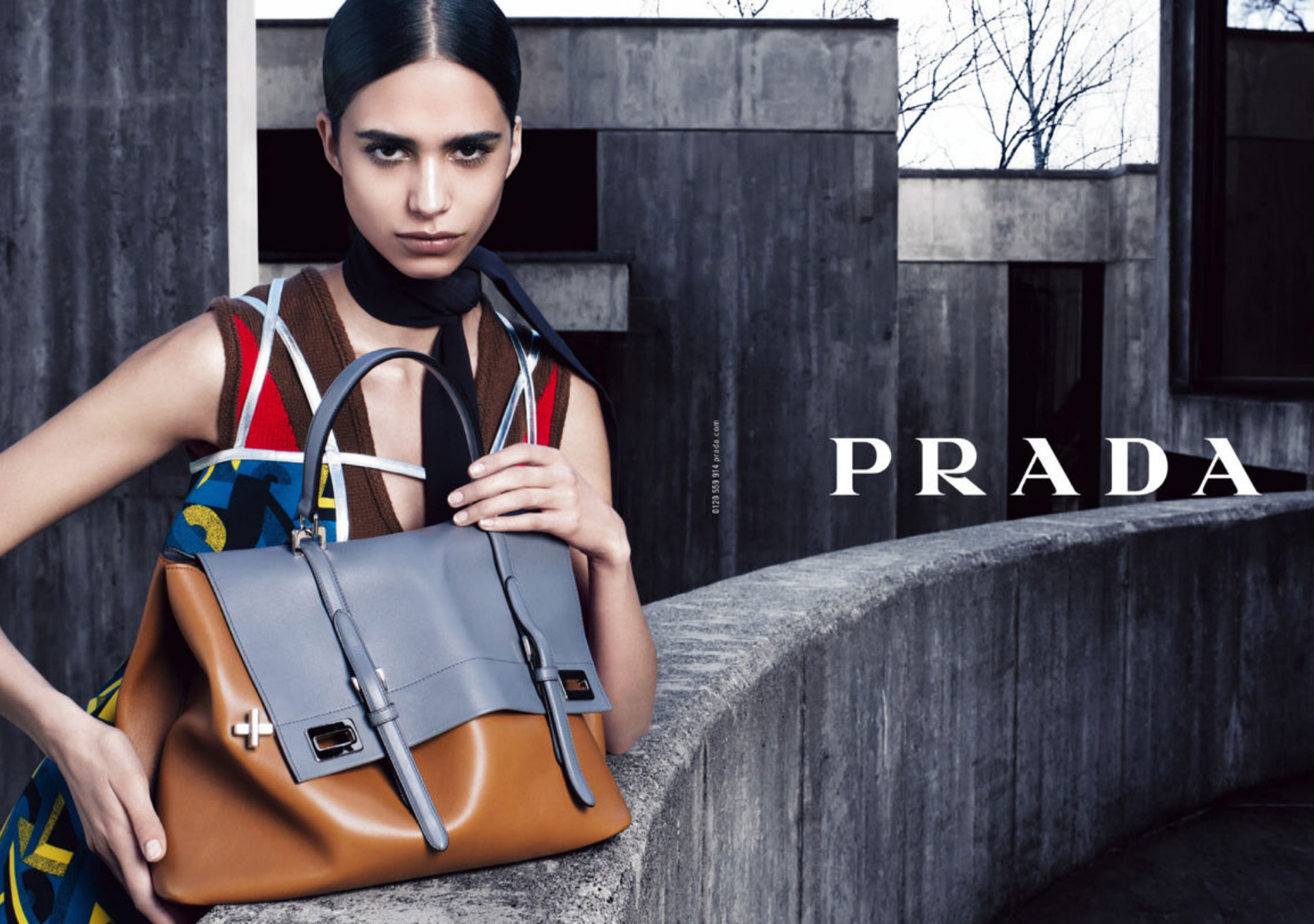 Demo title of image 51