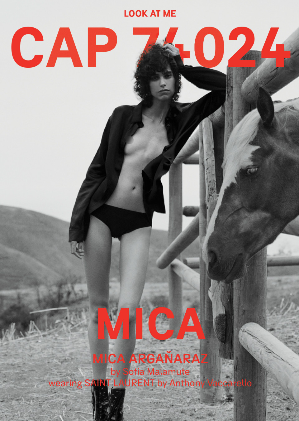 Demo title of image 30