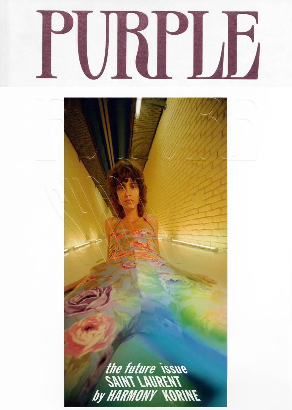 Demo title of image 15