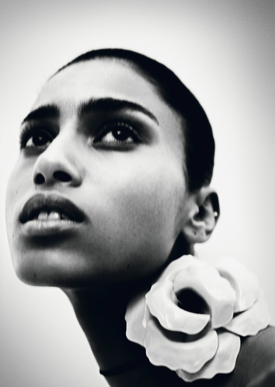 Demo title of image 17