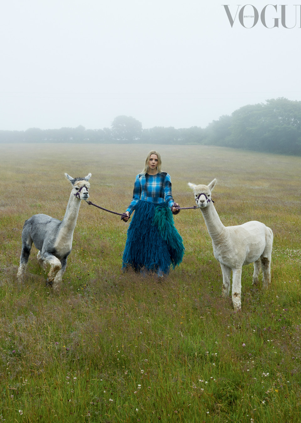 Demo title of image 13