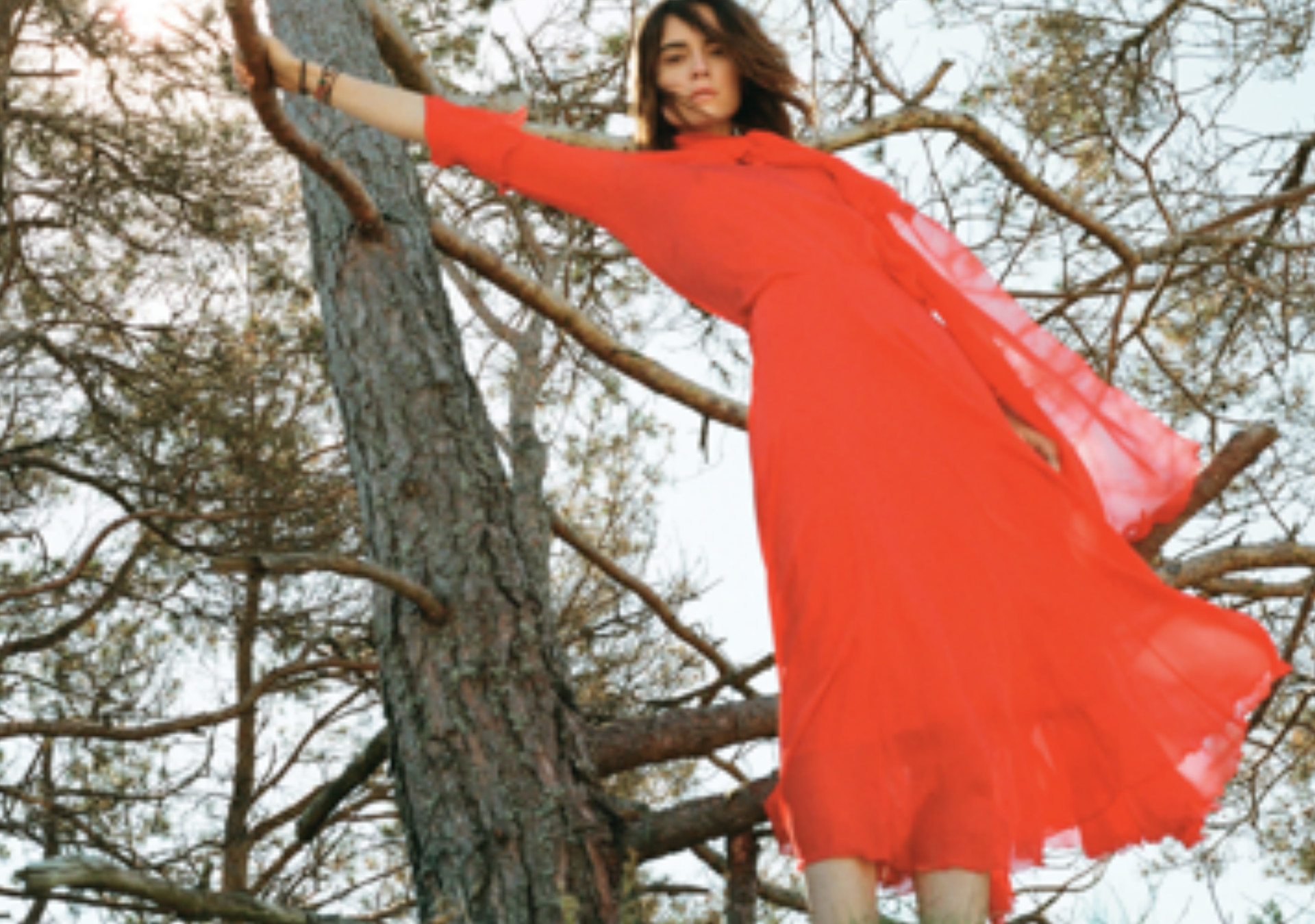 Demo title of image 8