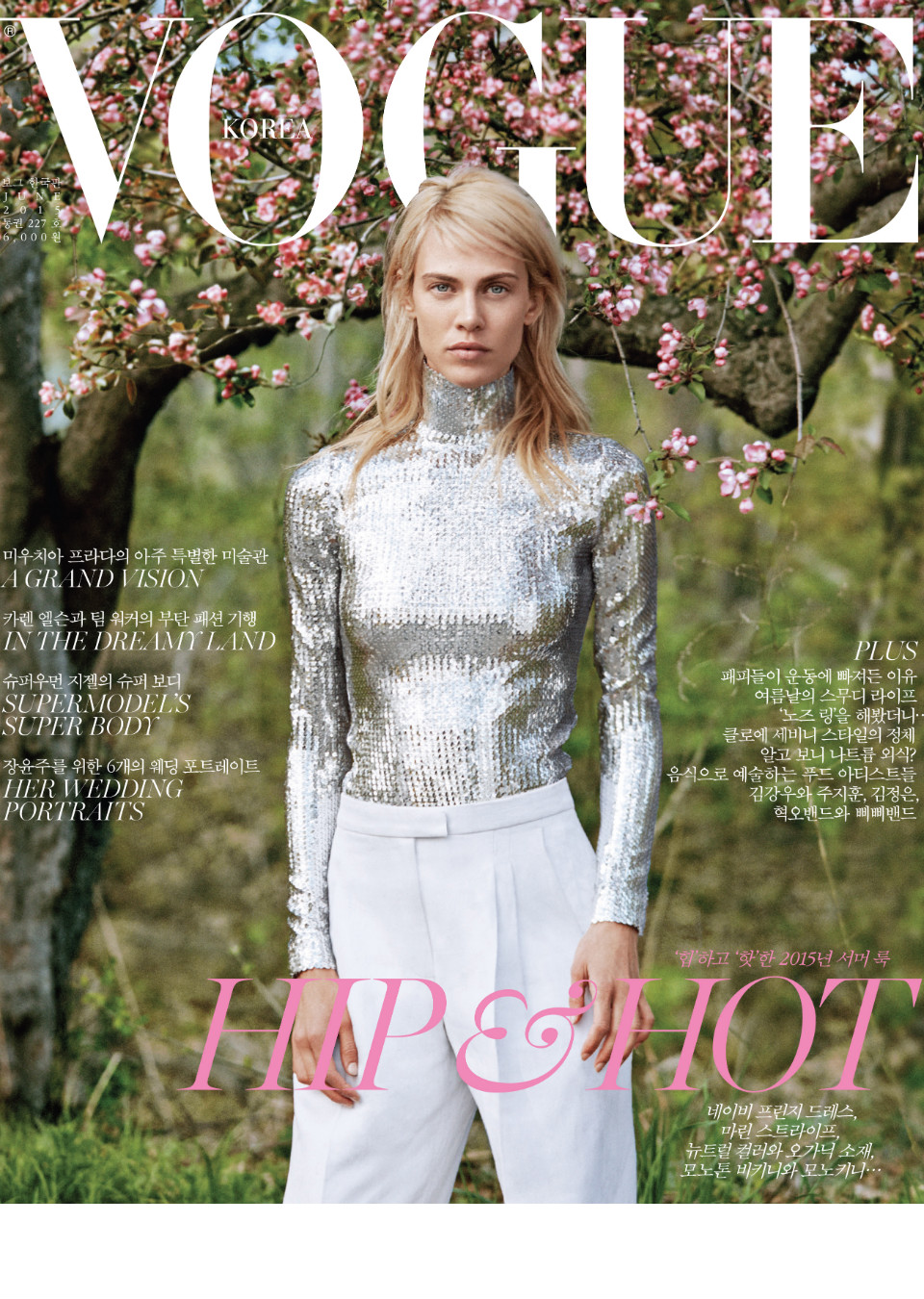 Demo title of image 17