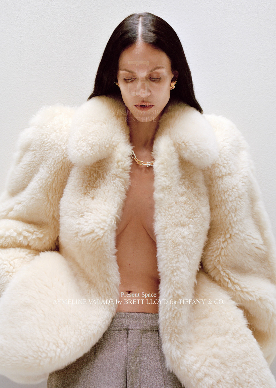 Demo title of image 1