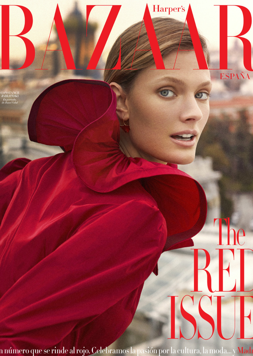 Demo title of image 11