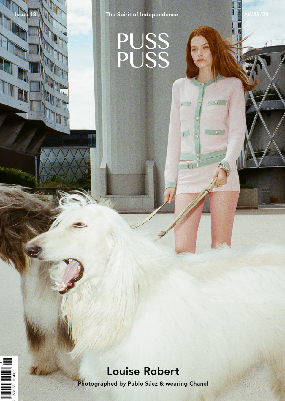 Demo title of image 32