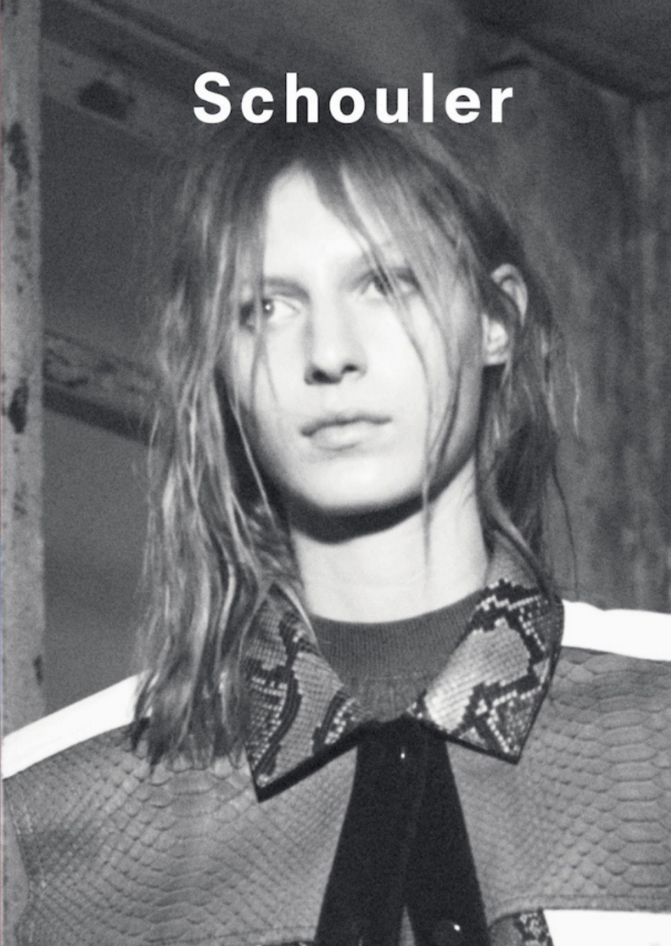 Demo title of image 51