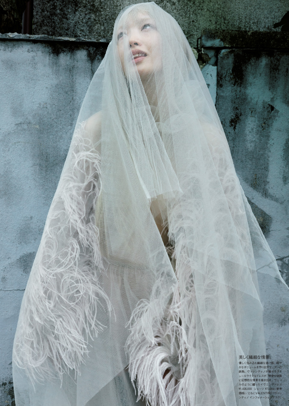 Demo title of image 14