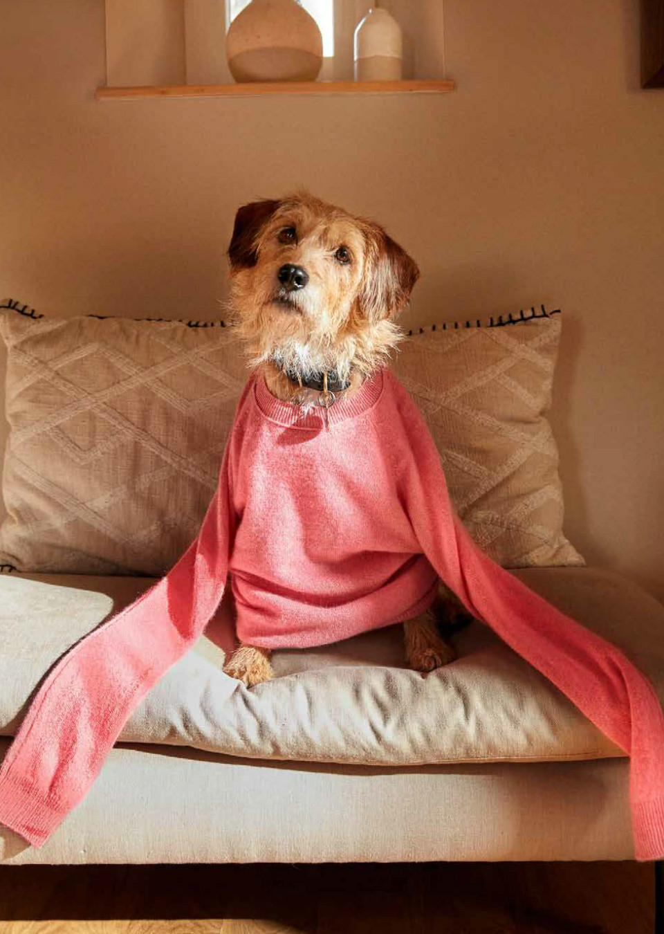 Demo title of image 18