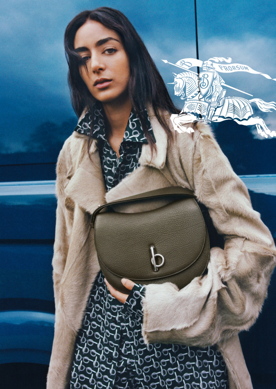 Demo title of image 6