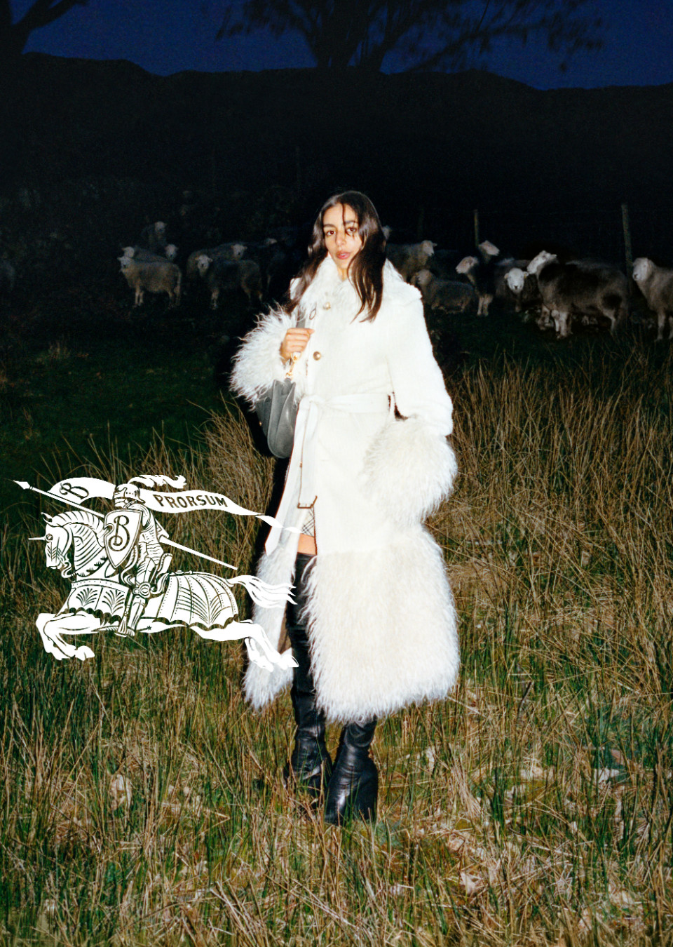 Demo title of image 1