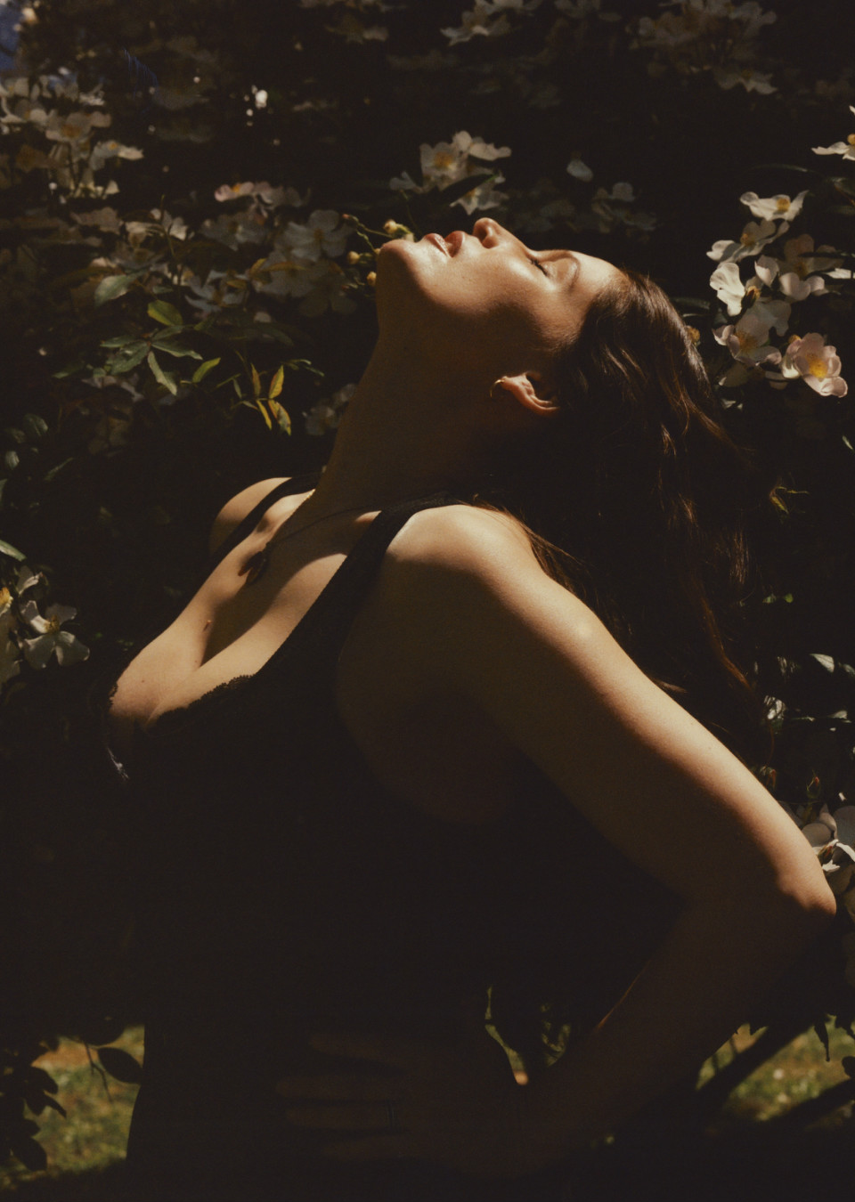 Demo title of image 36