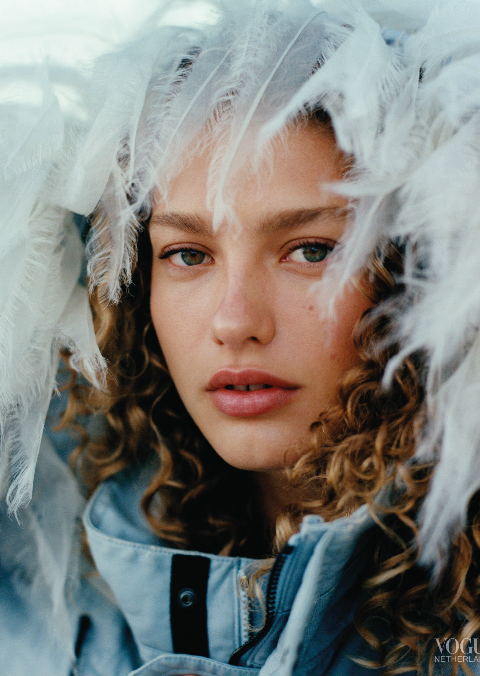 Demo title of image 13