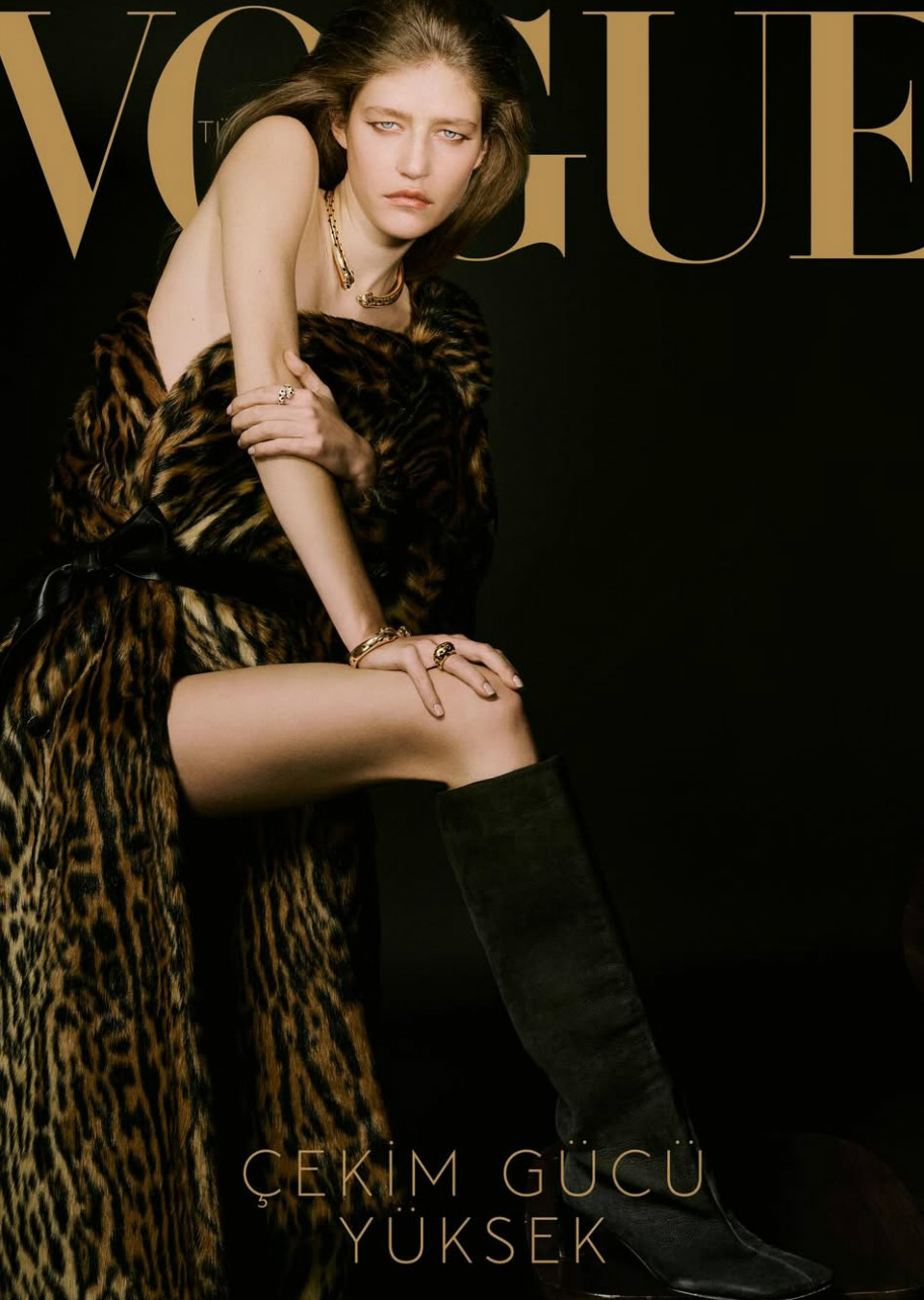 Demo title of image 1