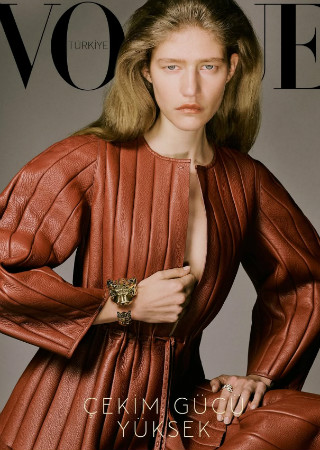 Demo title of image 2