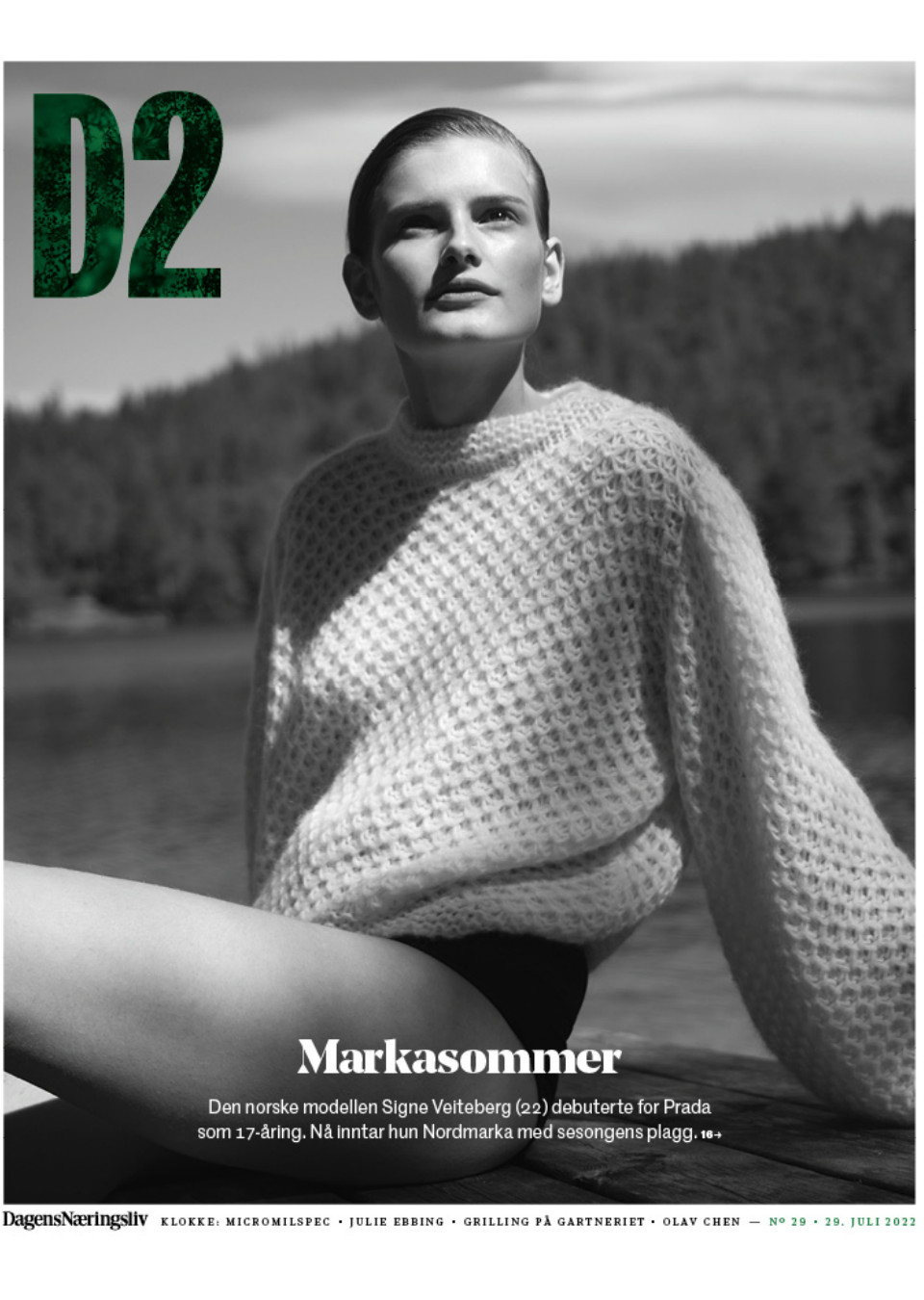 Demo title of image 33