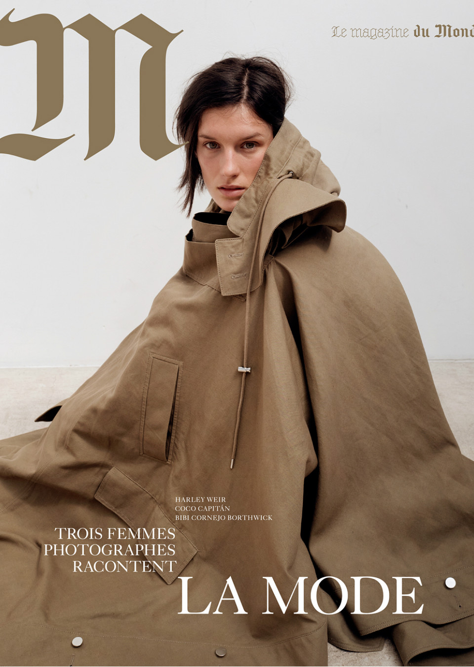 Demo title of image 13