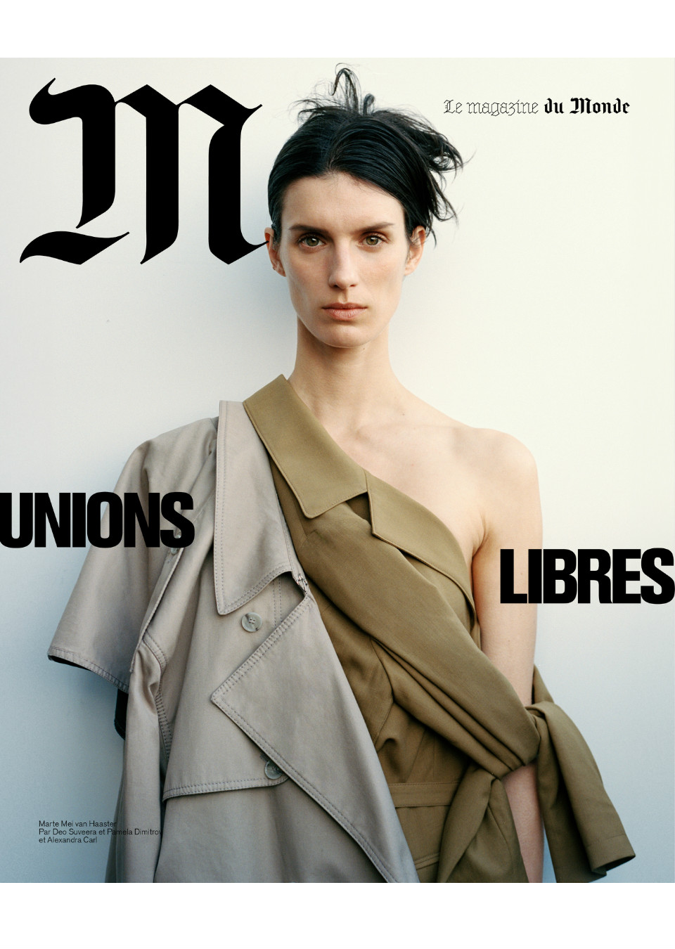 Demo title of image 1