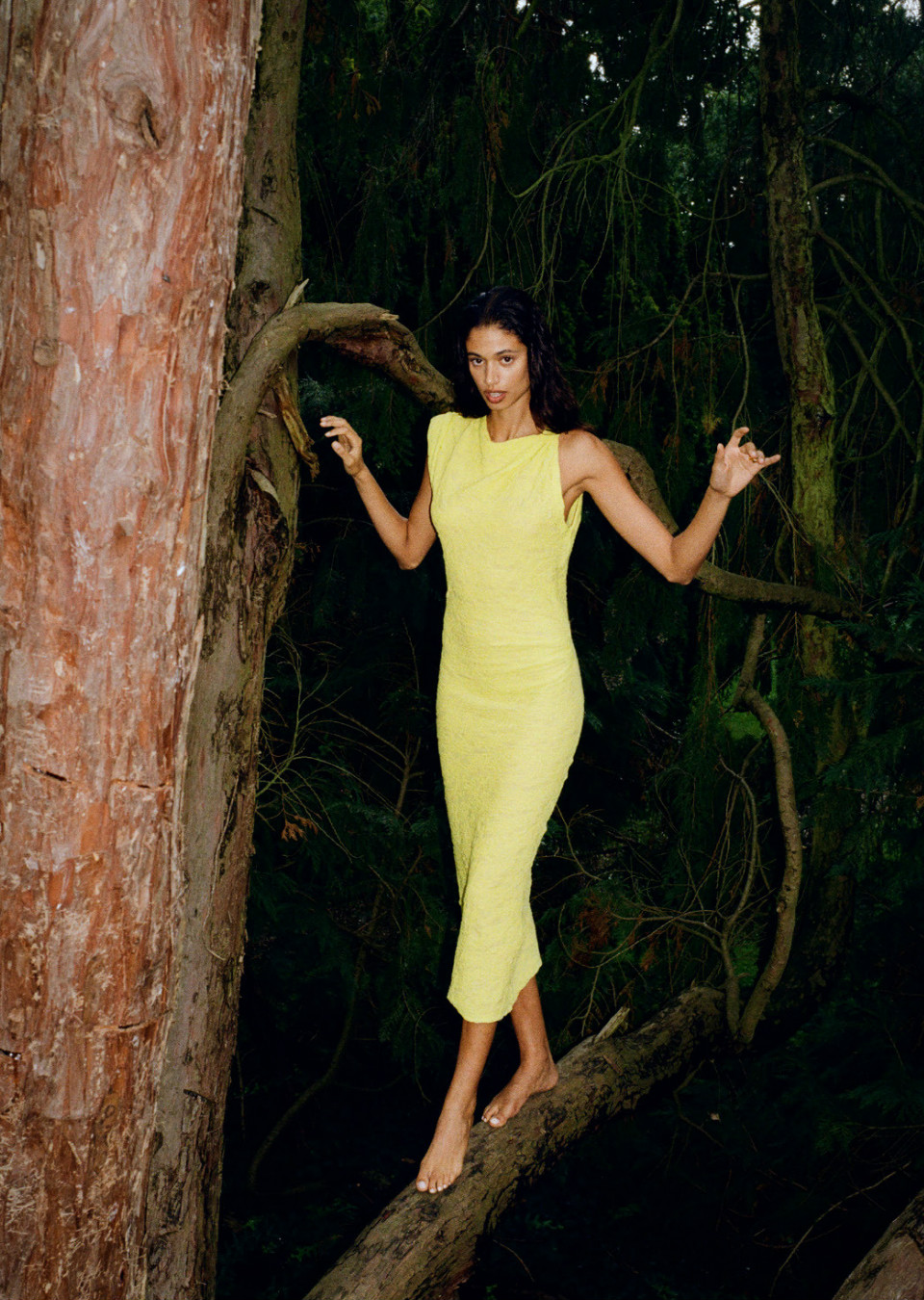 Demo title of image 29