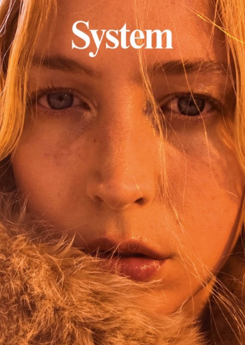 Demo title of image 24