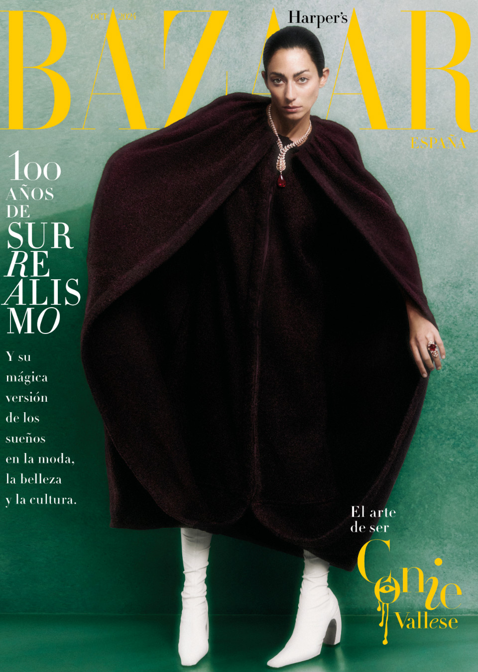 Demo title of image 6