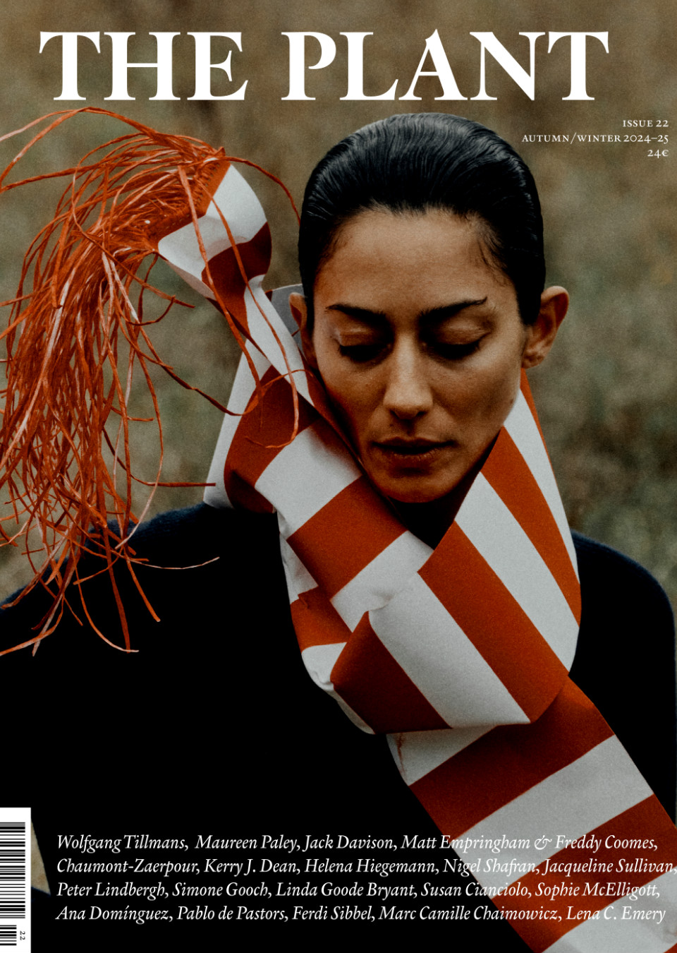 Demo title of image 38