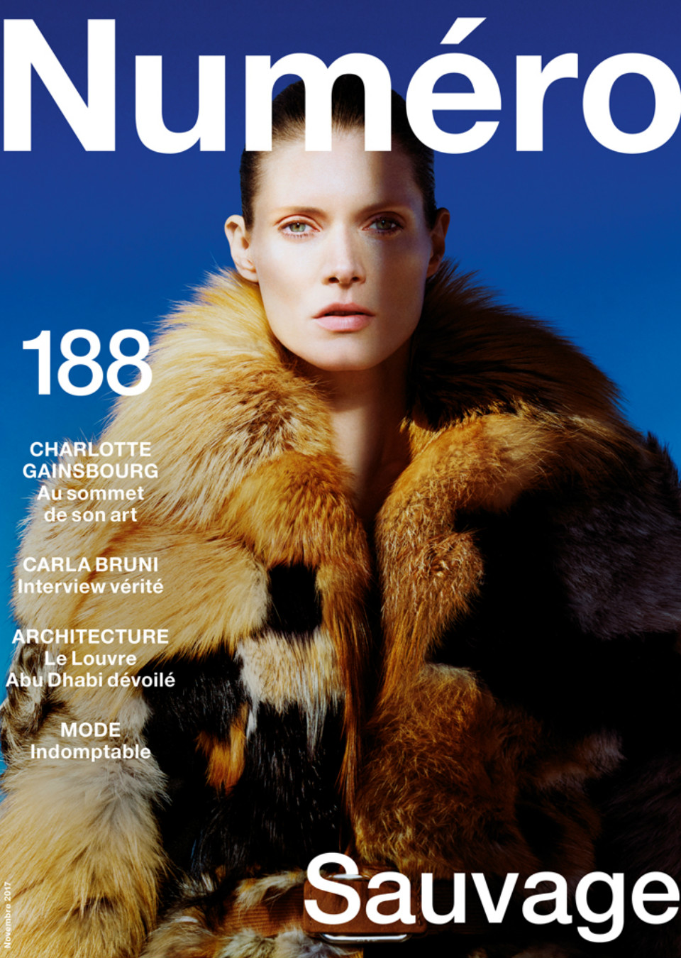 Demo title of image 37