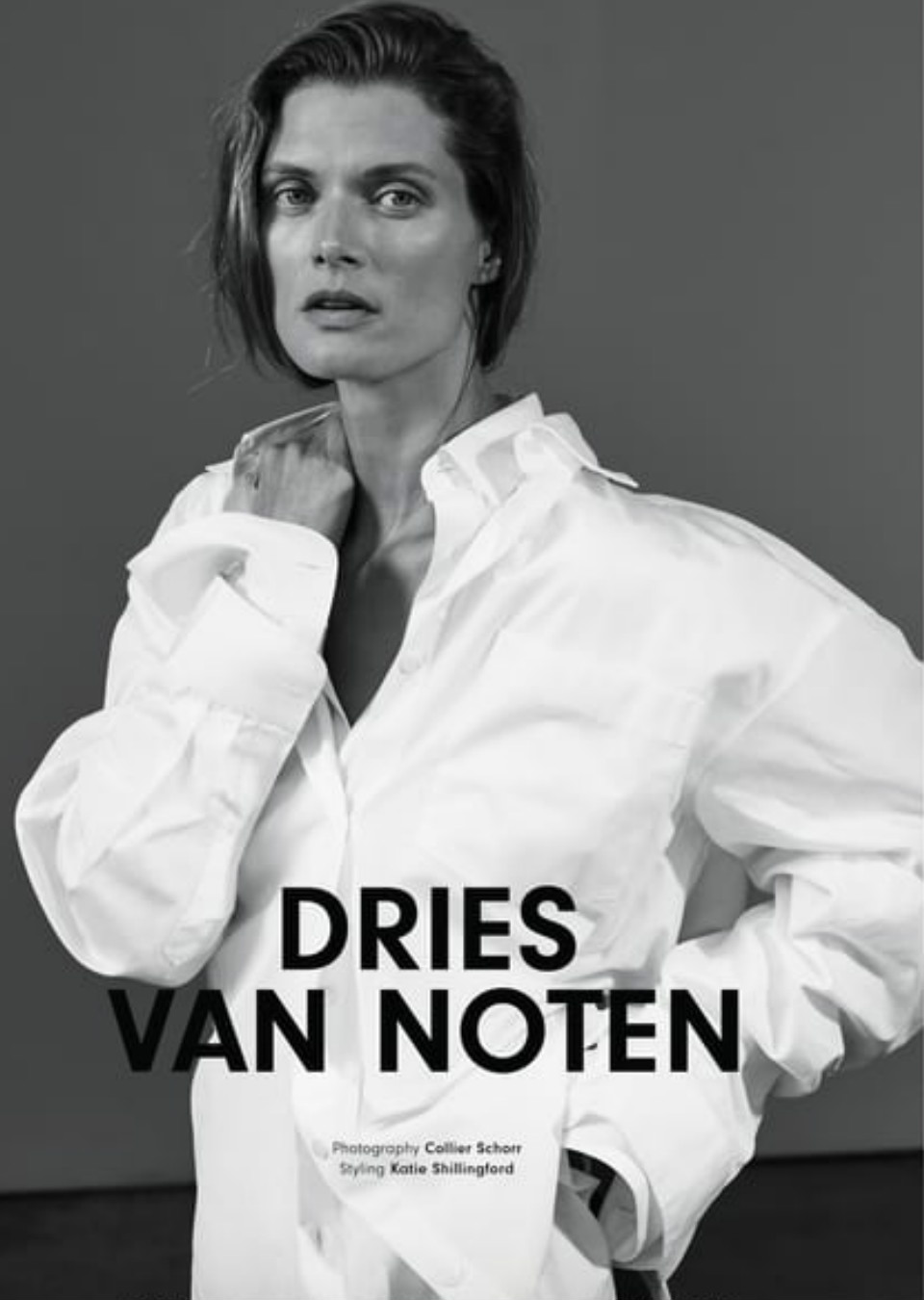 Demo title of image 31