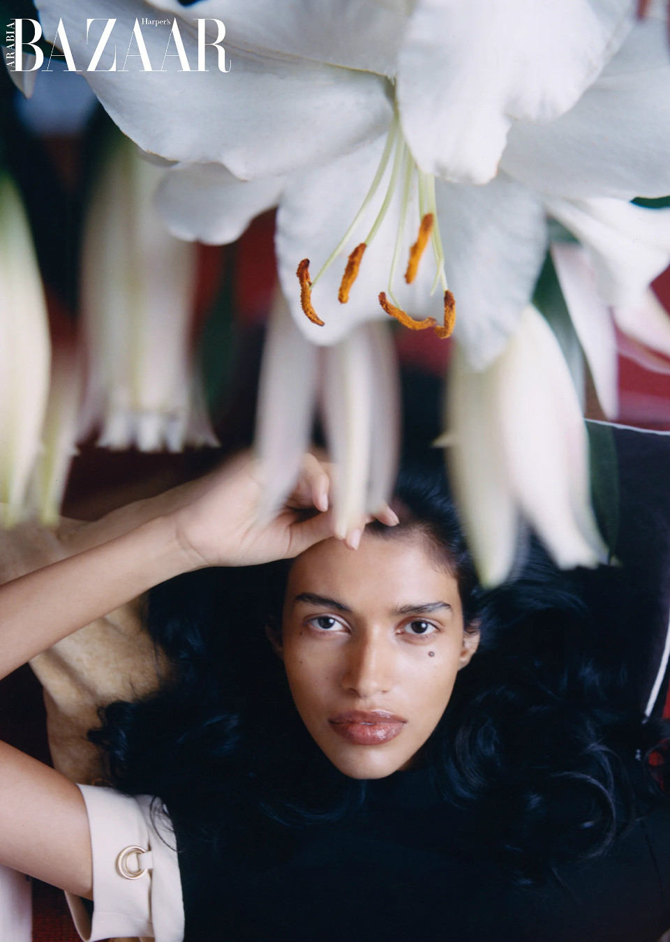 Demo title of image 5