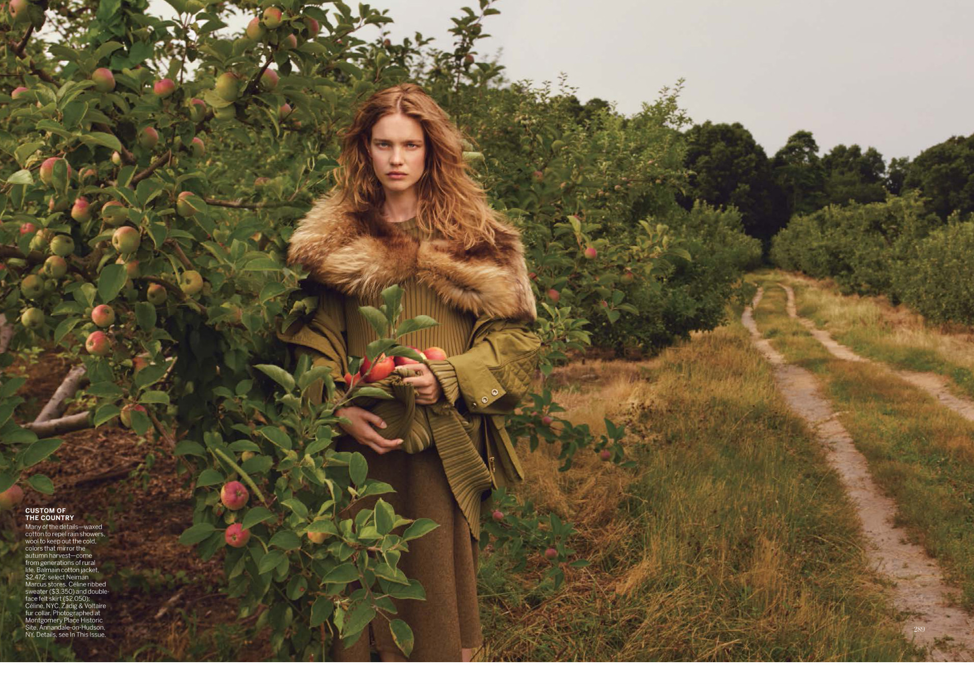 Demo title of image 35