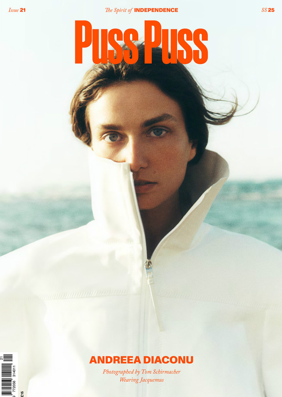 Demo title of image 31