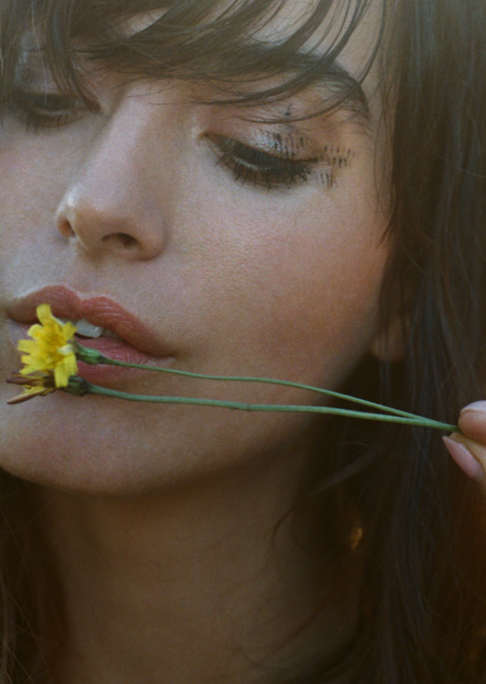 Demo title of image 6