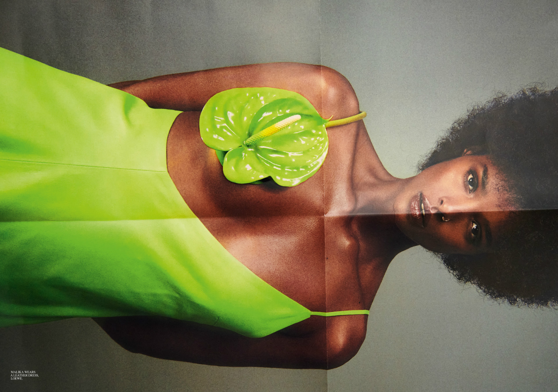 Demo title of image 15