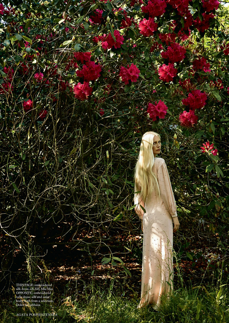 Demo title of image 25