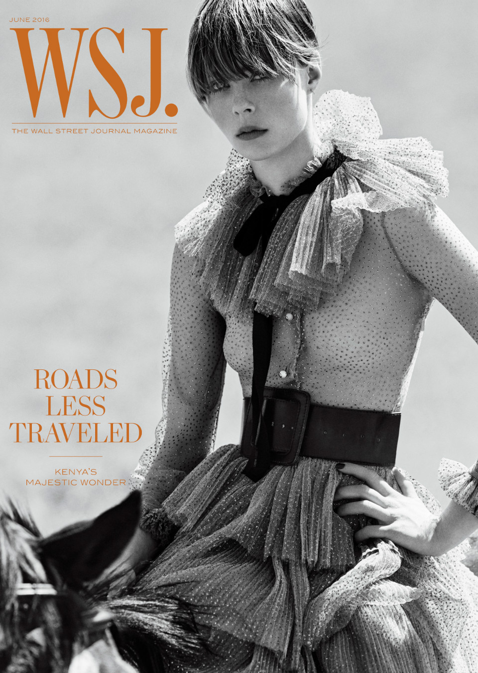 Demo title of image 64