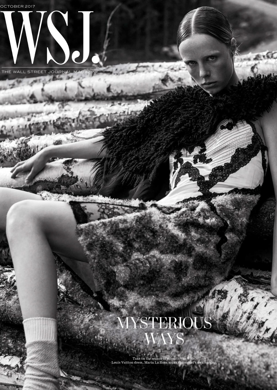 Demo title of image 34