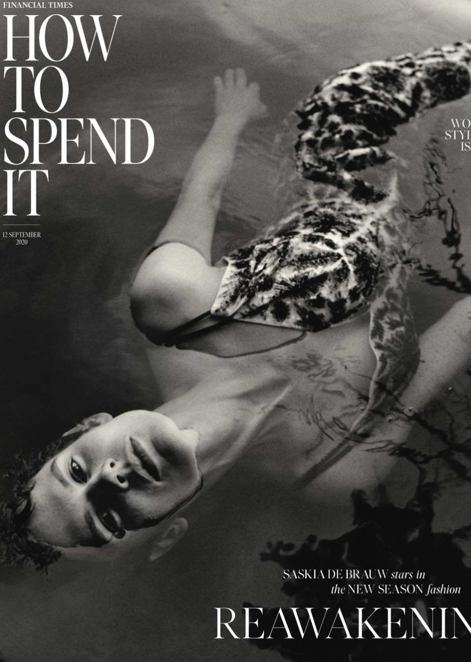 Demo title of image 33