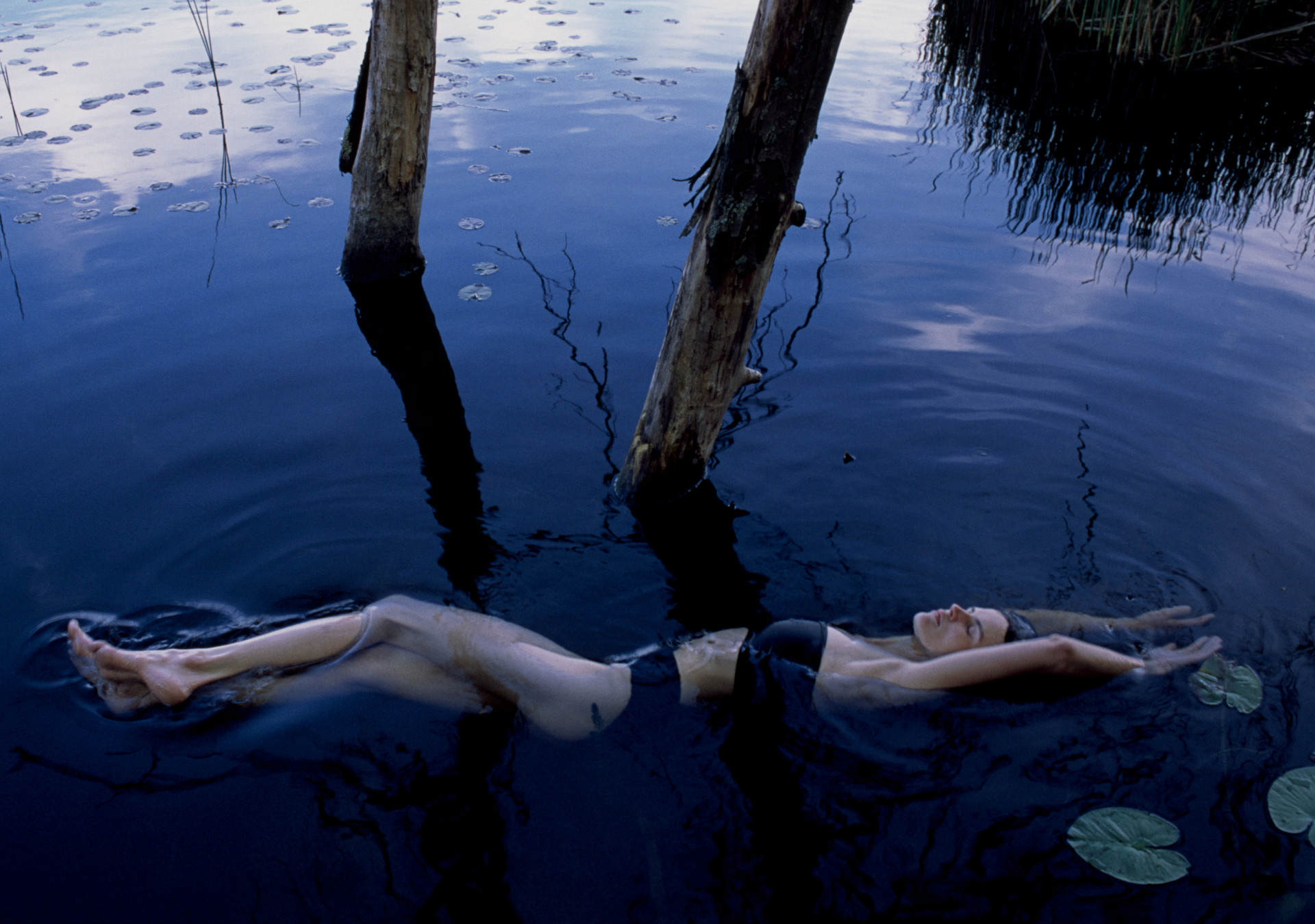 Demo title of image 16