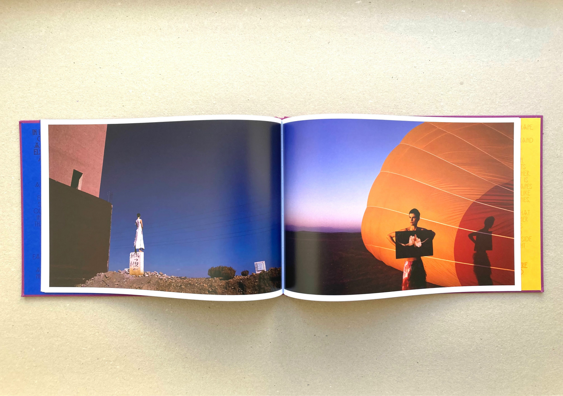 Saskia de Brauw's Zomer Book