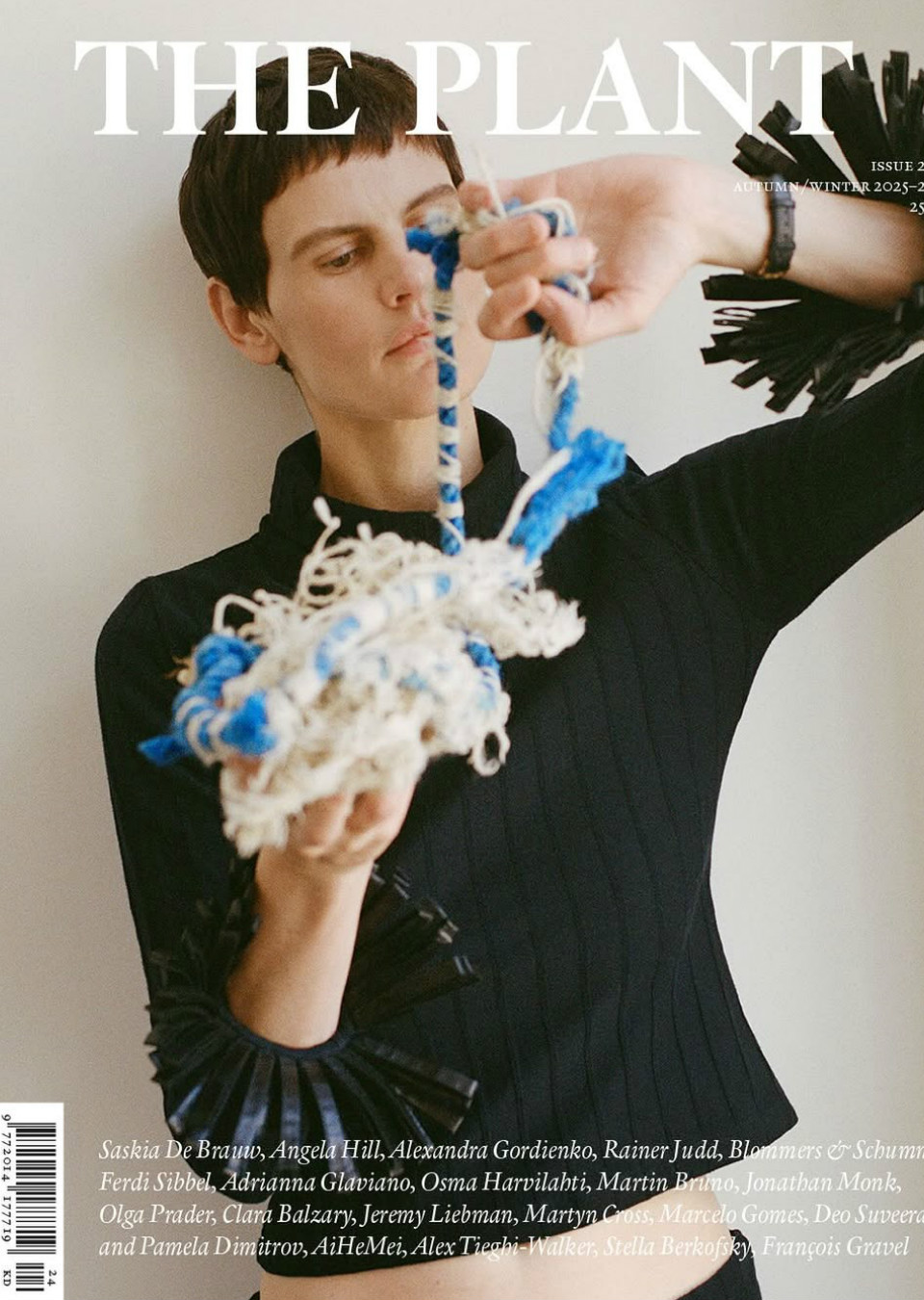 Demo title of image 10